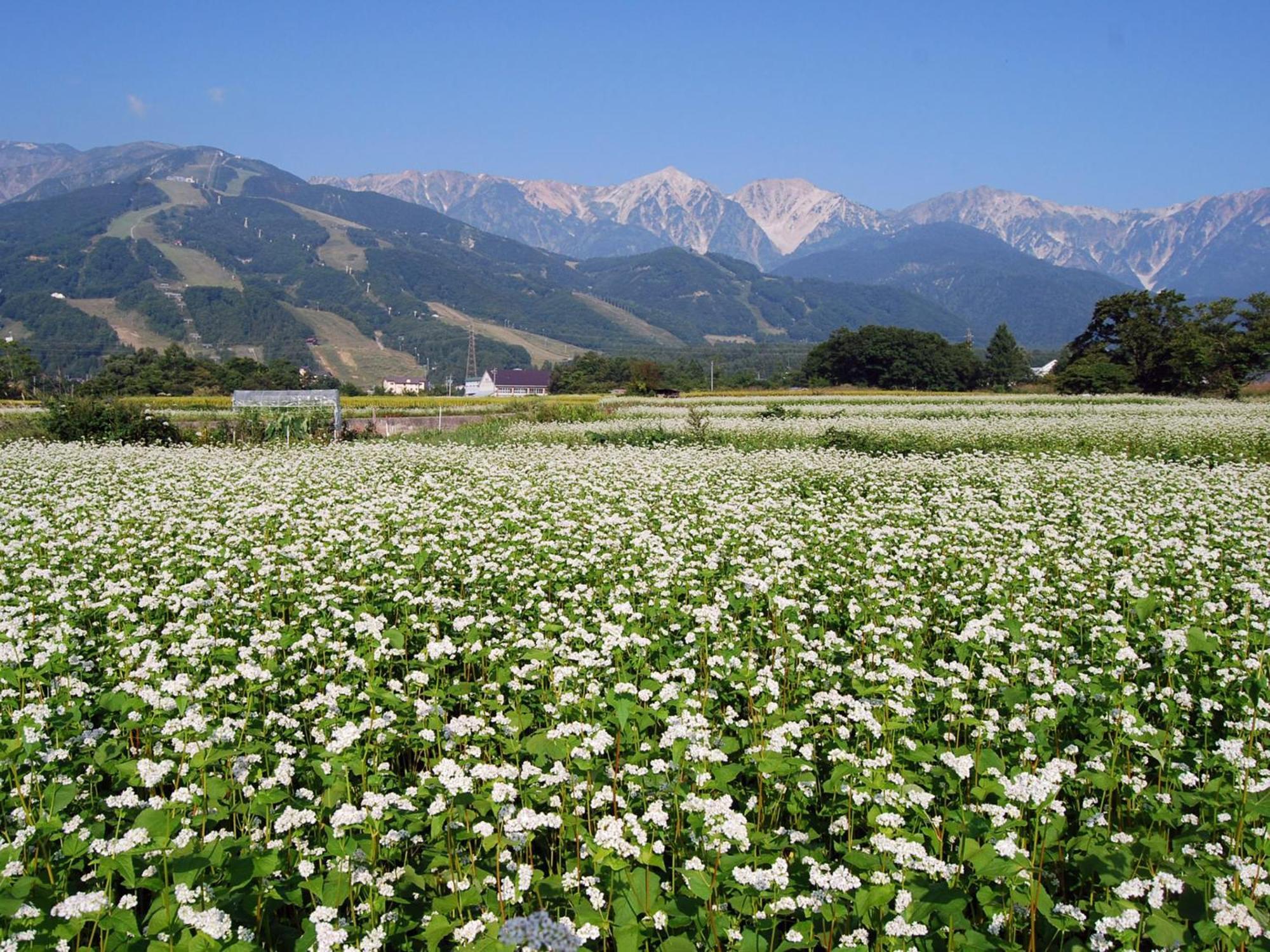 Kudo'S Lodge Hakuba Luaran gambar